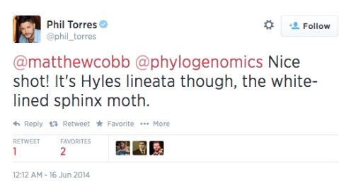 Screen shot 2014-06-17 at 6.28.48 AM