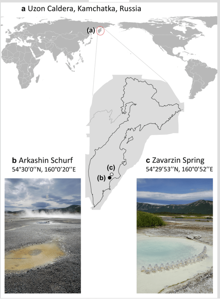 New preprint from lab: There and back again: metagenome-assembled genomes provide new insights into two thermal pools in&nbsp;Kamchatka