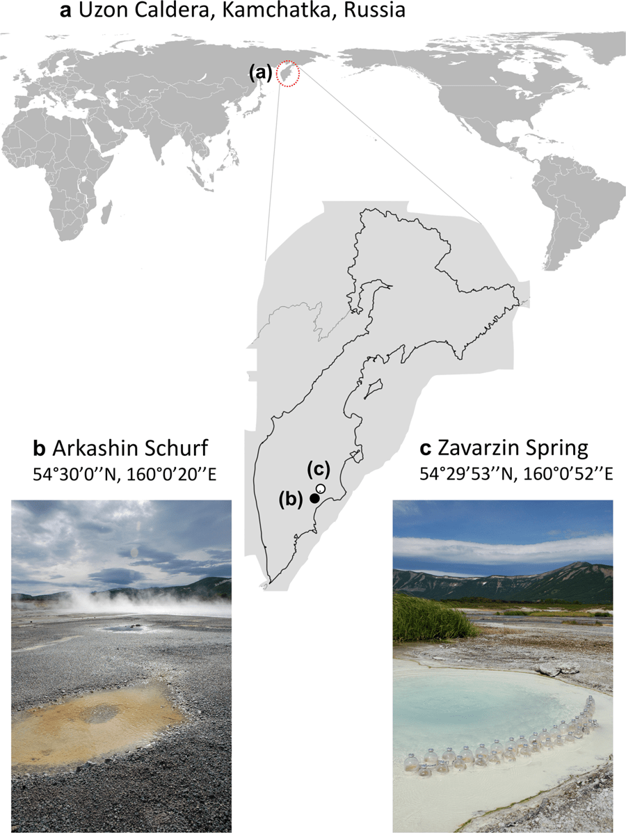 New paper from the Eisen lab on MAGs from two thermal pools in Kamchatka (great work led by Laetitia Wilkins @M_helvetiae and Cassie Ettinger @casettron) 